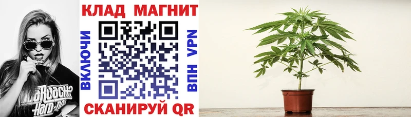 Гашиш Котовск