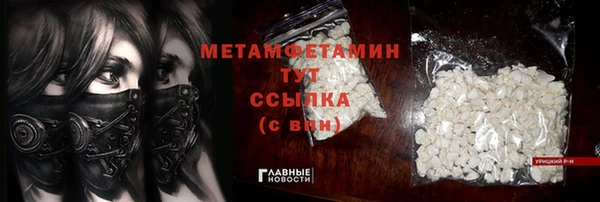 сатива Новокубанск