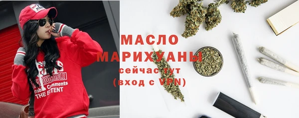 сатива Новокубанск