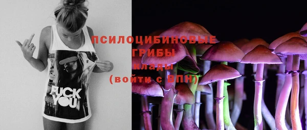 марки nbome Новодвинск