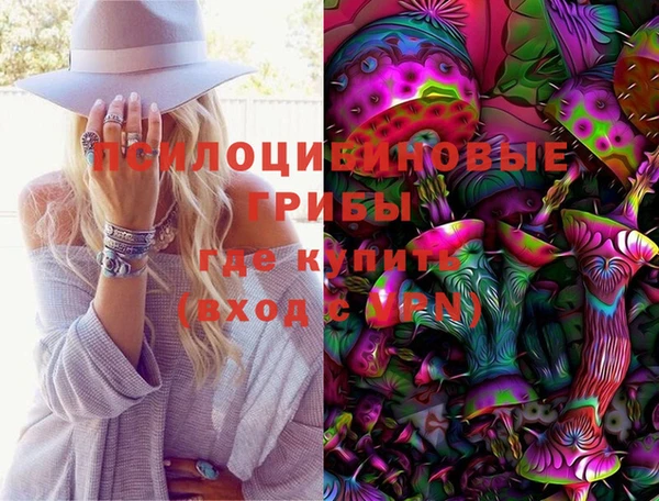 PSILOCYBIN Новозыбков