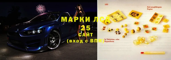 сатива Новокубанск