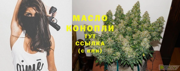 сатива Новокубанск