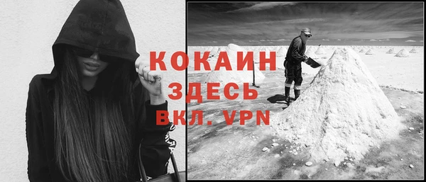 сатива Новокубанск