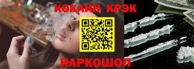 шишки Гай