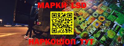 шишки Гай