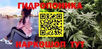сатива Камышлов