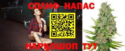 амф Будённовск