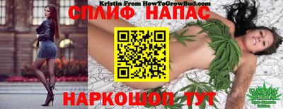 гашик Лесосибирск