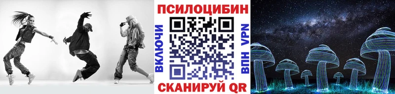 Галлюциногенные грибы Psilocybe  kraken ONION  Котовск  купить закладку 