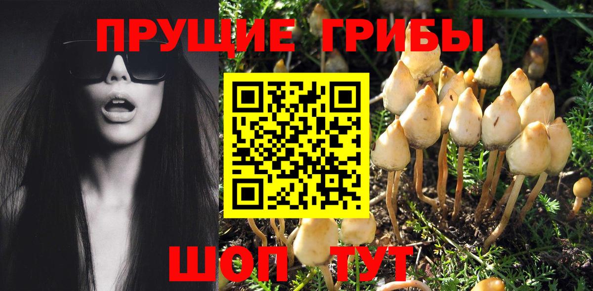 Псилоцибиновые грибы MAGIC MUSHROOMS  Котовск 