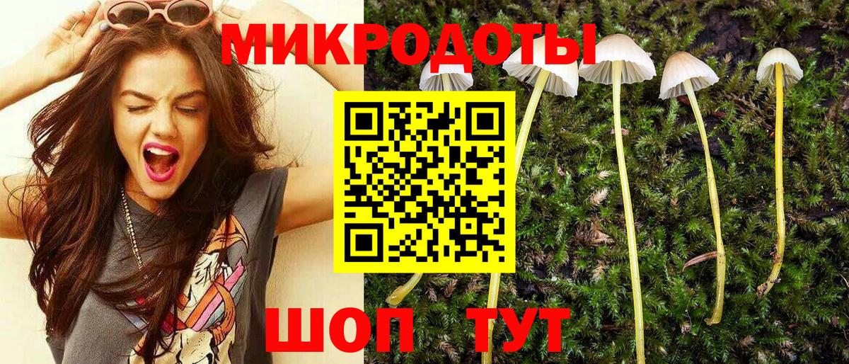 Галлюциногенные грибы прущие грибы Котовск