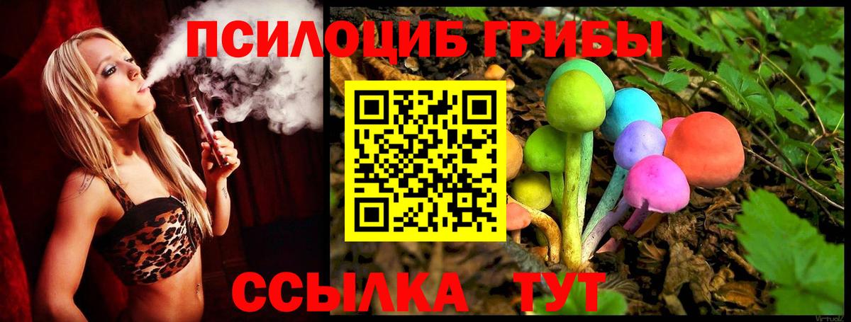 Псилоцибиновые грибы прущие грибы Котовск