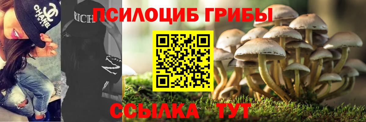 Галлюциногенные грибы прущие грибы  Вход с VPN  Котовск  Галлюциногенные грибы Psilocybine cubensis 